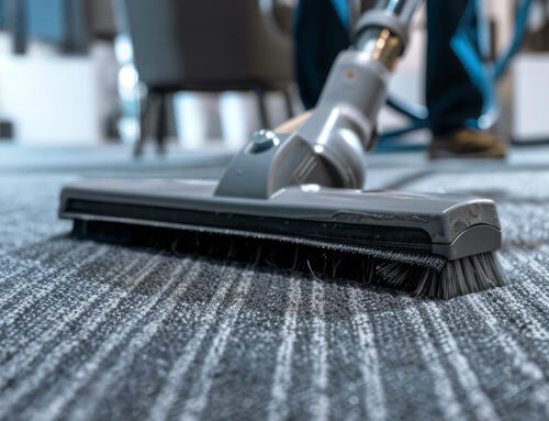 How to Remove Pet Odors From Carpet Without Damaging It